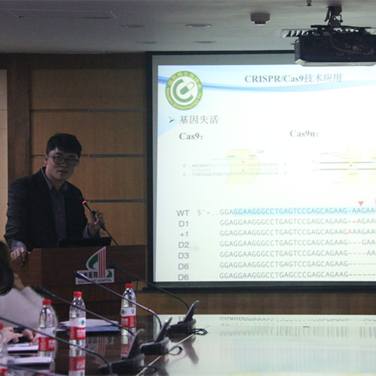 点击进入：西南医院Cas9技术宣讲 照片集