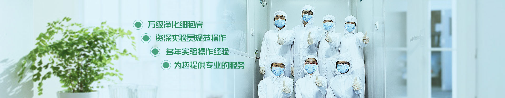 细胞房