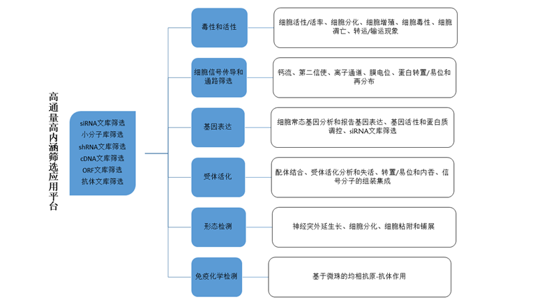 高通量/高内涵药物筛选
