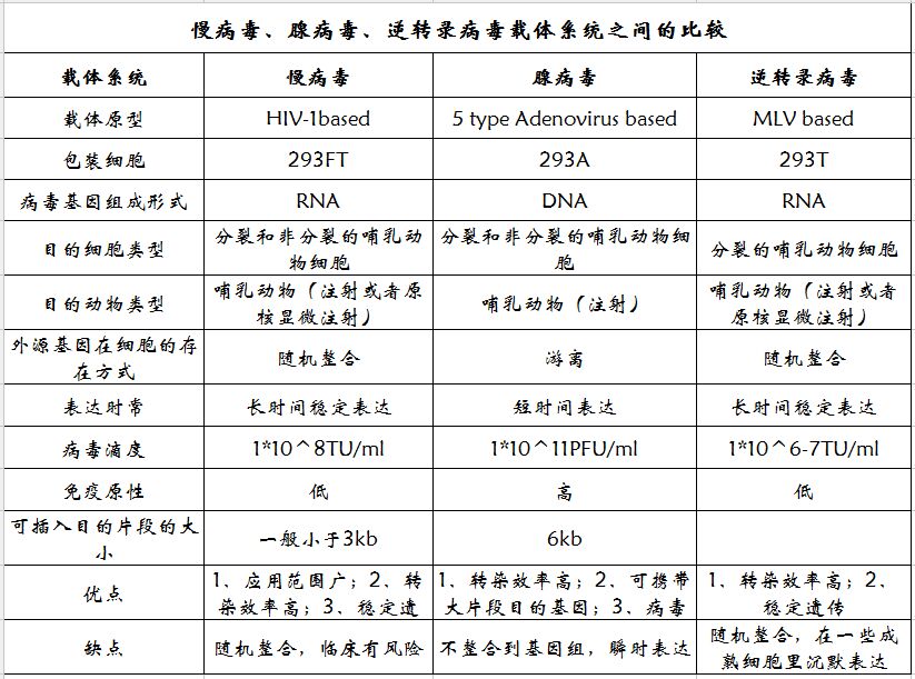 过表达慢病毒