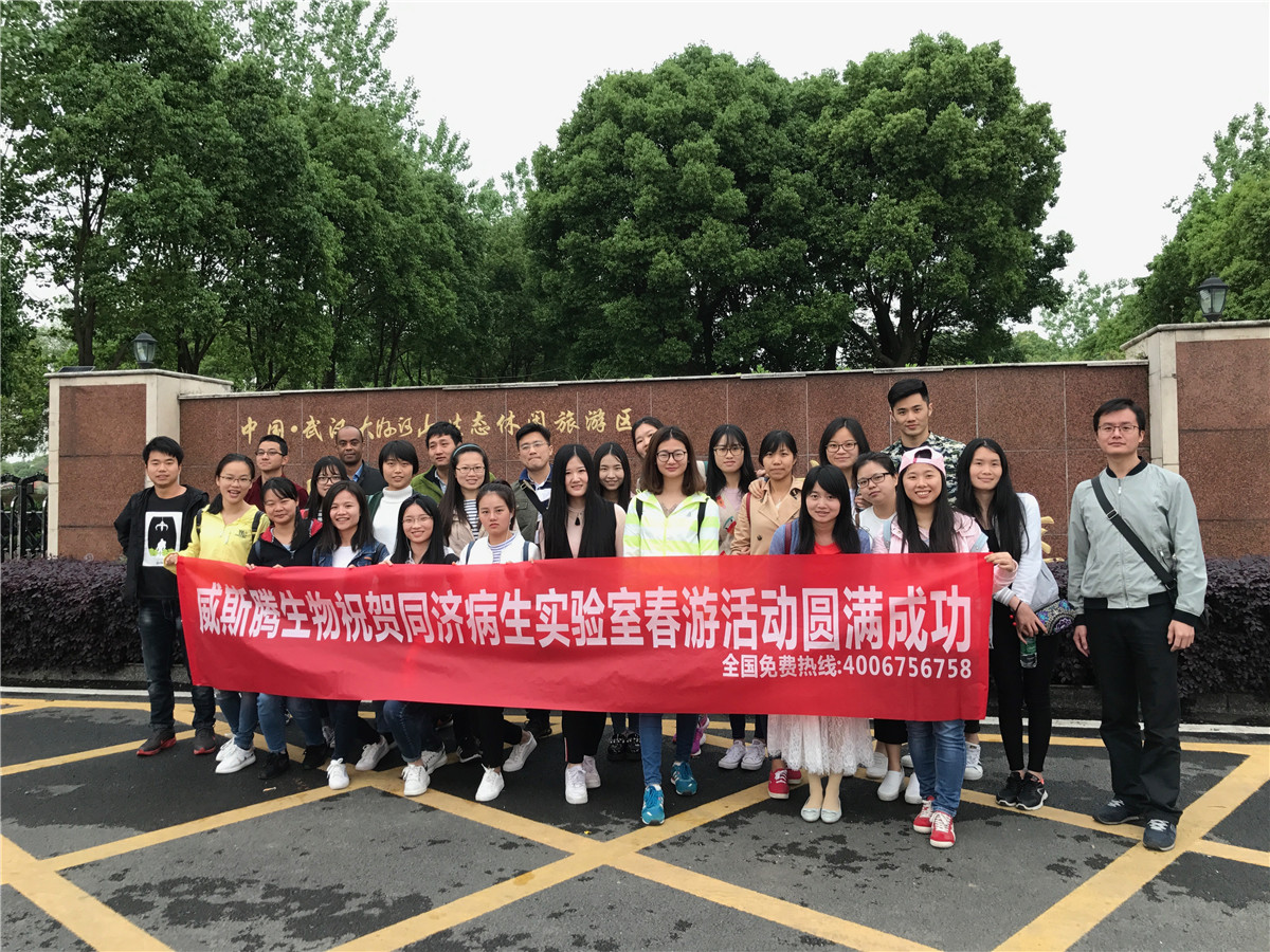 1阳春三月，踏青去也！.jpg