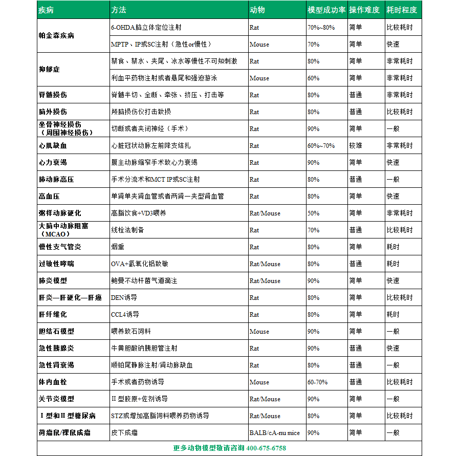 动物模型（部分）.png