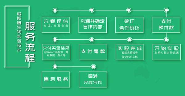 服务流程.jpg