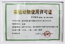 小鼠保种/代繁殖服务