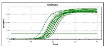 MicroRNA实时定量PCR检测