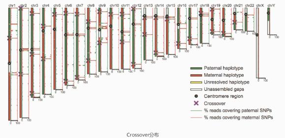 单细胞基因组测序