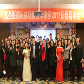 威斯腾2017新春喜乐会