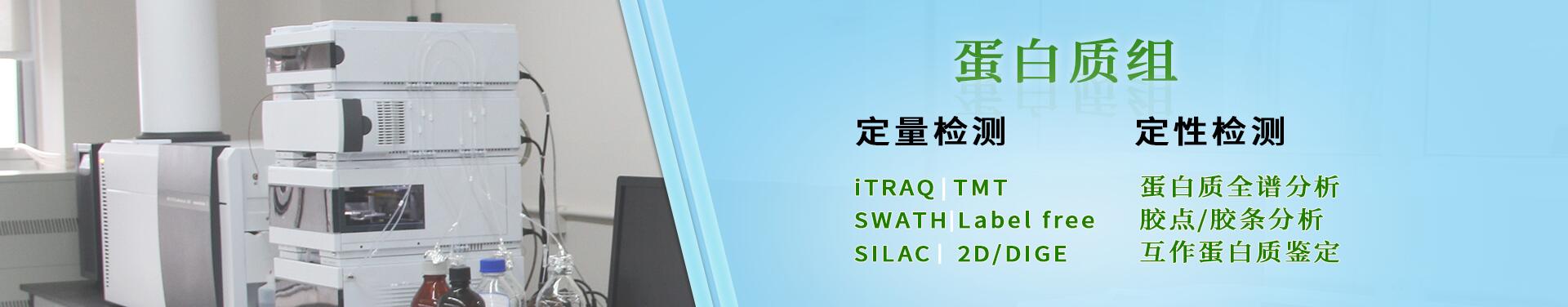蛋白质组