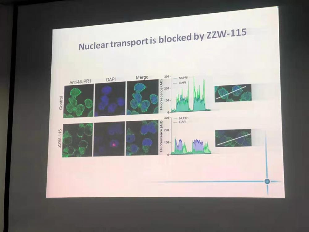 3中法交流 威斯腾生物热烈欢迎法国马赛癌症研究中心iovanna教授一行来我司交流访问.jpg